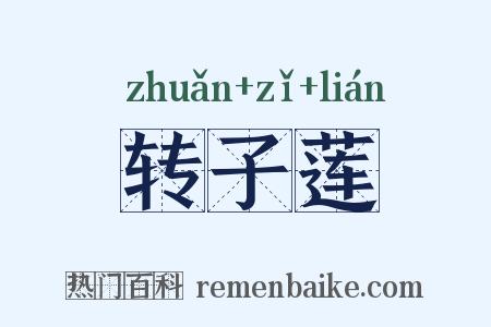 转子莲是什么意思的图片
